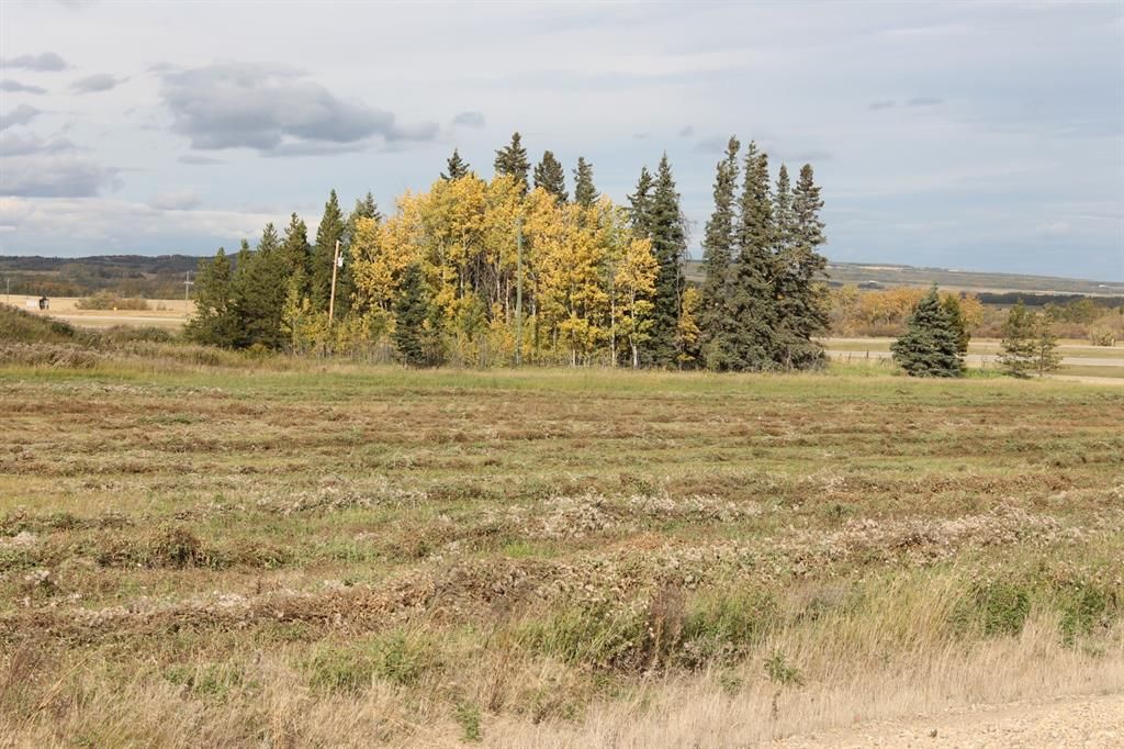 9001 90 Street  - Photo 10