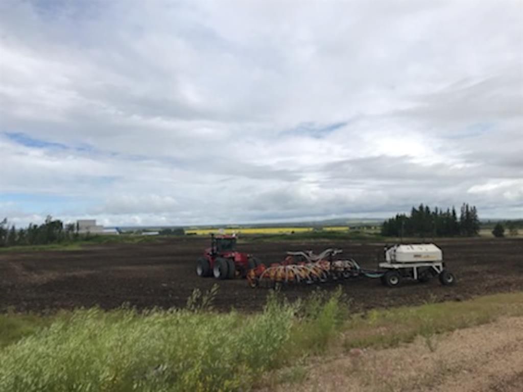 9001 90 Street  - Photo 2