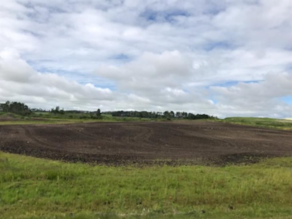 9001 90 Street  - Photo 4