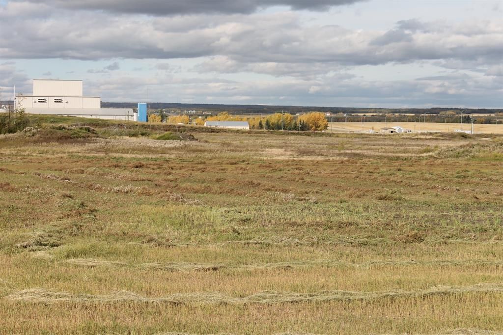 9001 90 Street  - Photo 8