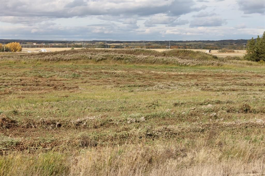 9001 90 Street  - Photo 9