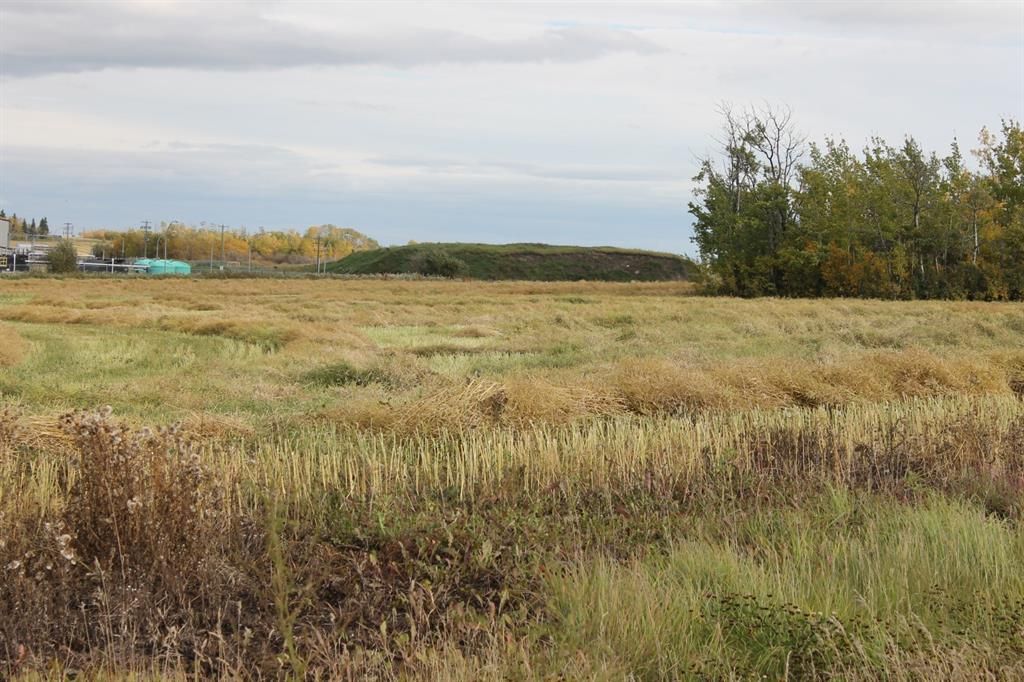 9300 101 Street  - Photo 10