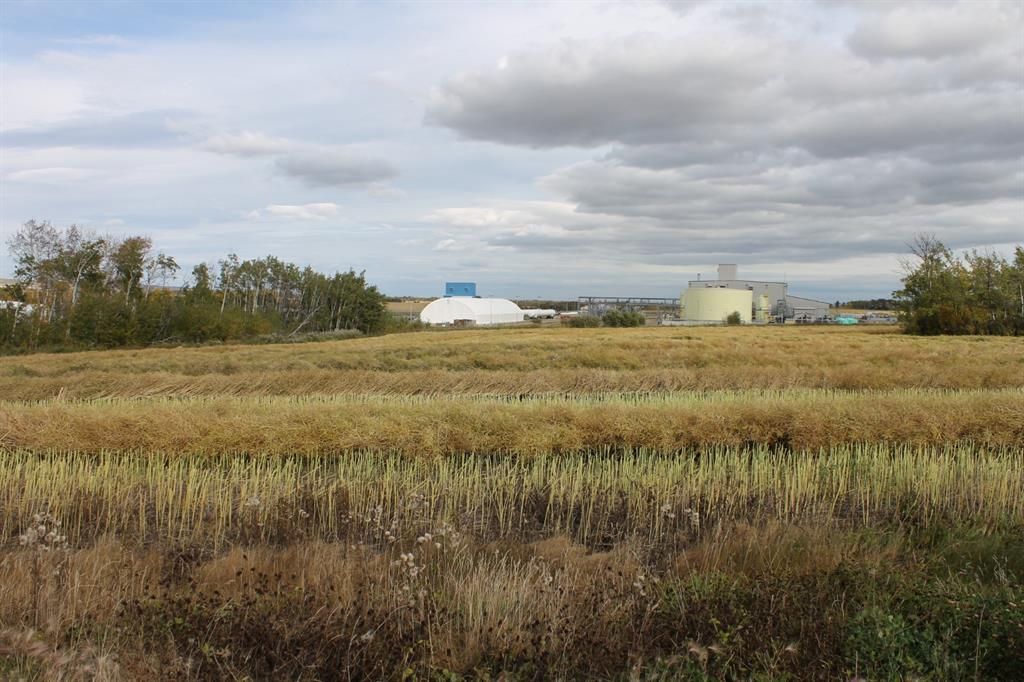 9300 101 Street  - Photo 11