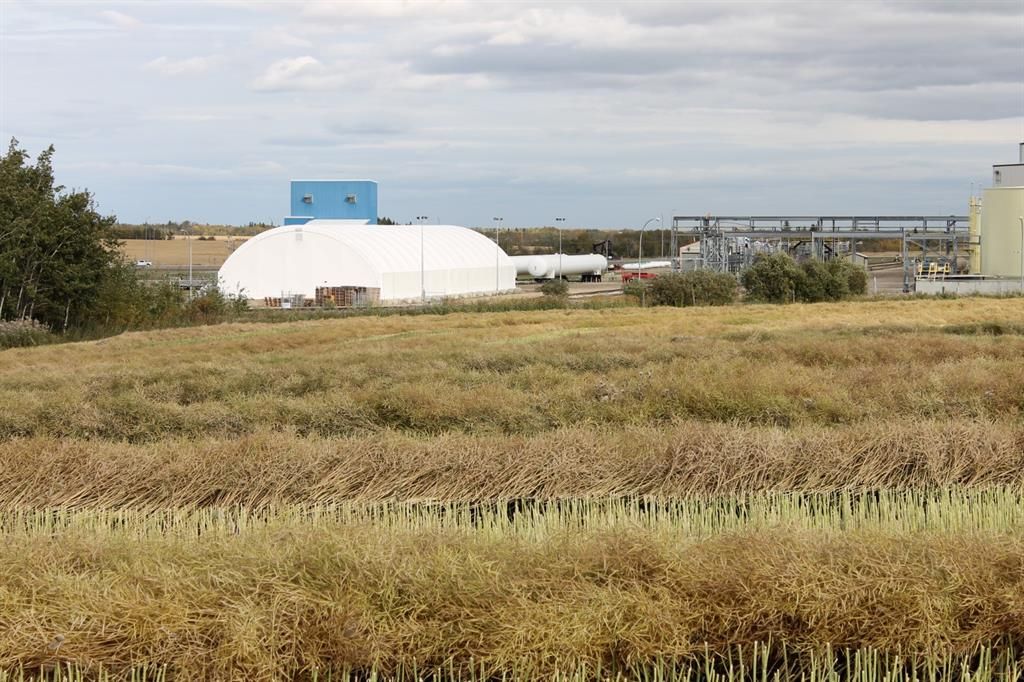 9300 101 Street  - Photo 12