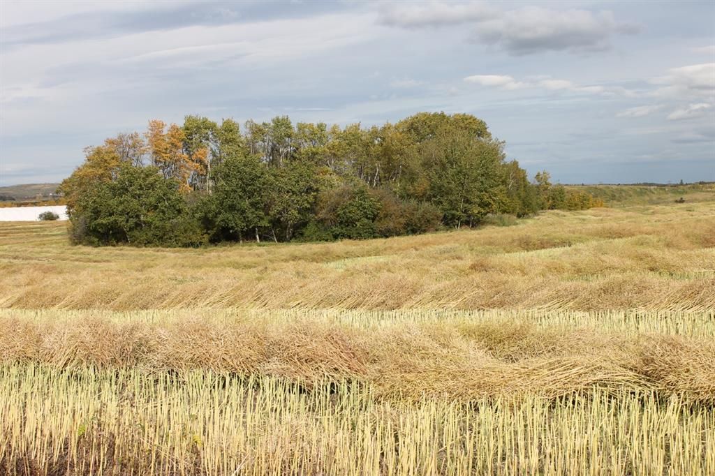 9300 101 Street  - Photo 14