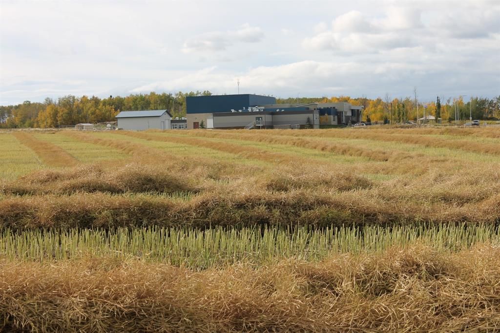 9300 101 Street  - Photo 6