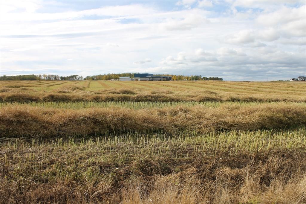 9300 101 Street  - Photo 7