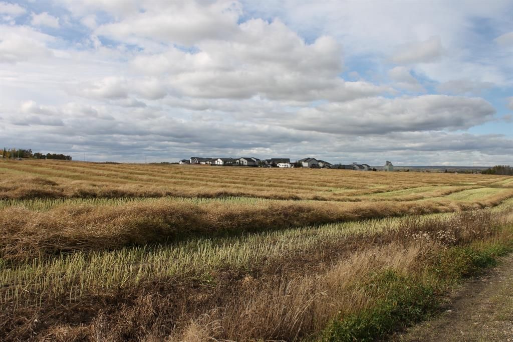 9300 101 Street  - Photo 8