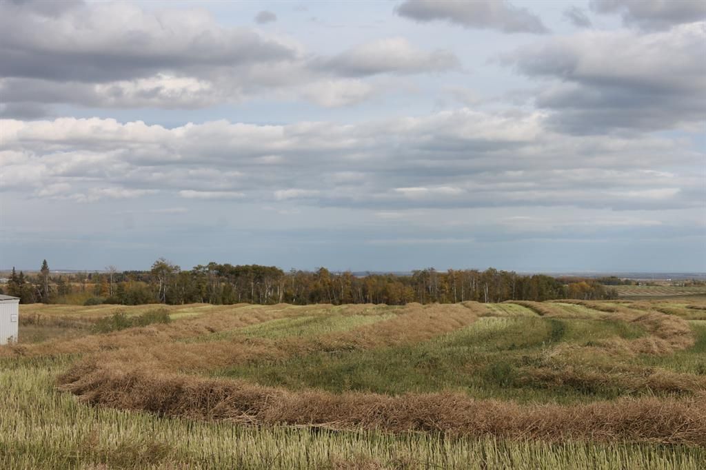 10400 85 Avenue  - Photo 2