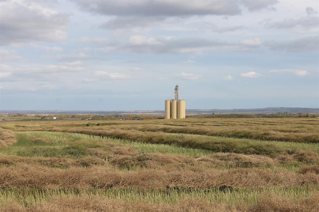 10400 85 Avenue  - Photo 4