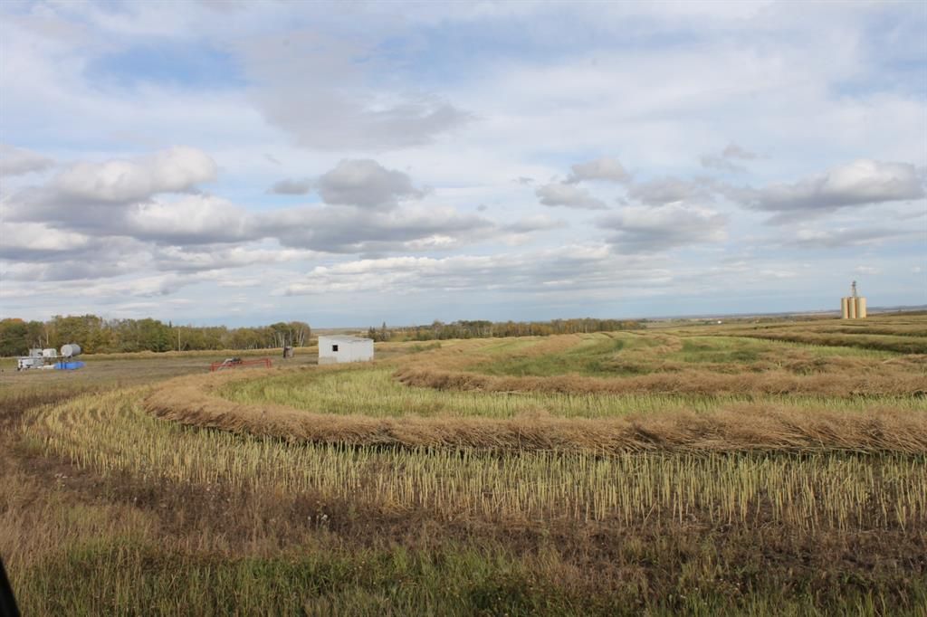 10400 85 Avenue  - Photo 5