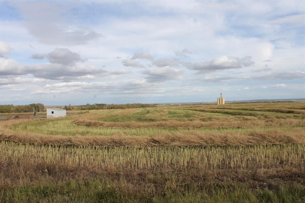 10400 85 Avenue  - Photo 6