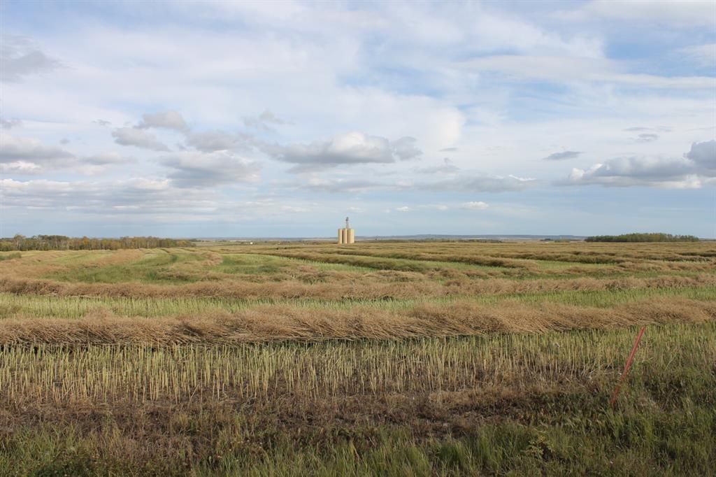 10400 85 Avenue  - Photo 7