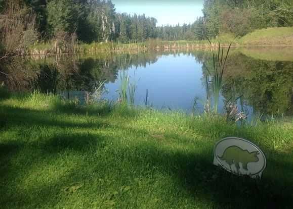 703064B Range Road 82   - Photo 5