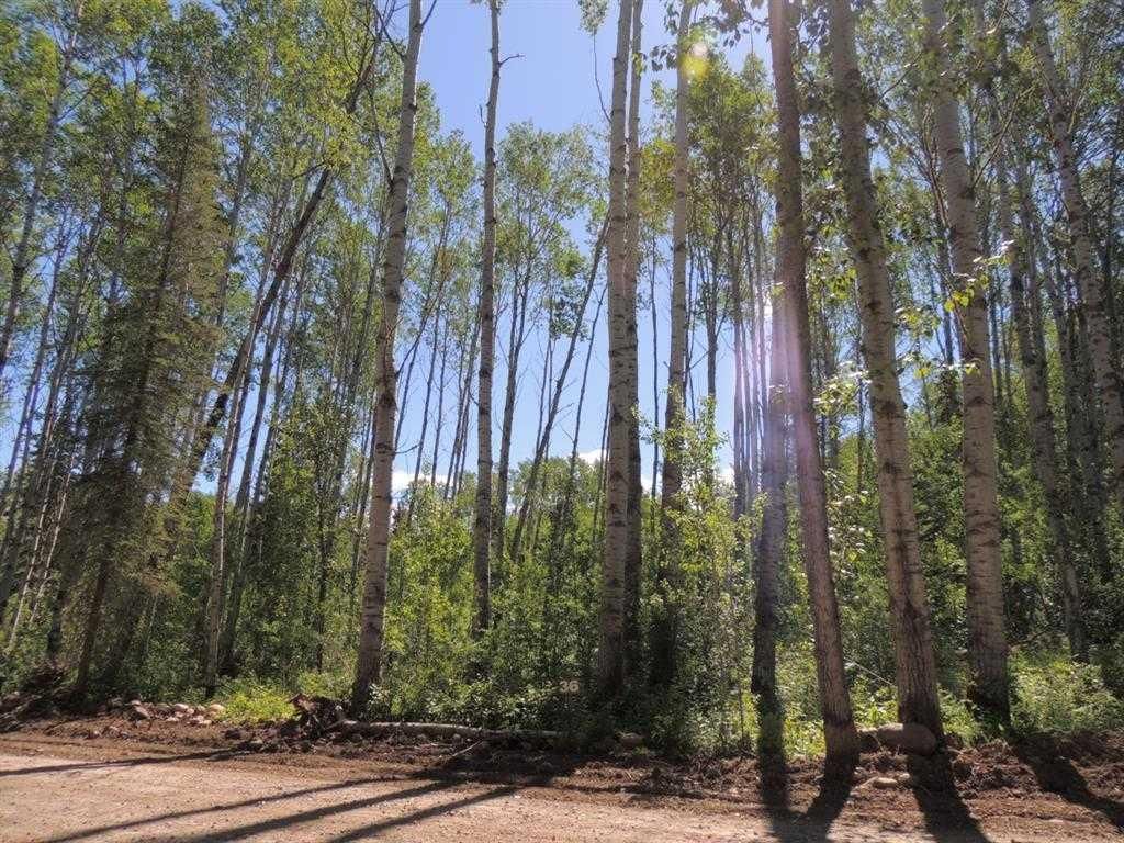 Lot #36 Wapiti River SW-21-69-10-W6   - Photo 1