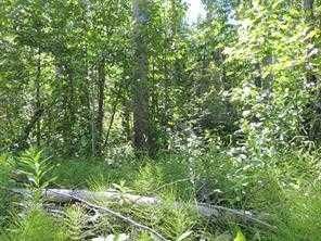 Lot #36 Wapiti River SW-21-69-10-W6   - Photo 10