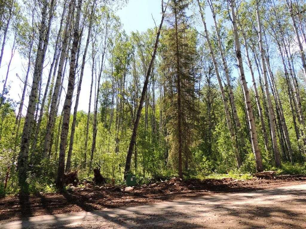 Lot #36 Wapiti River SW-21-69-10-W6   - Photo 3