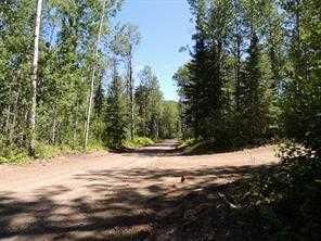 Lot #36 Wapiti River SW-21-69-10-W6   - Photo 5