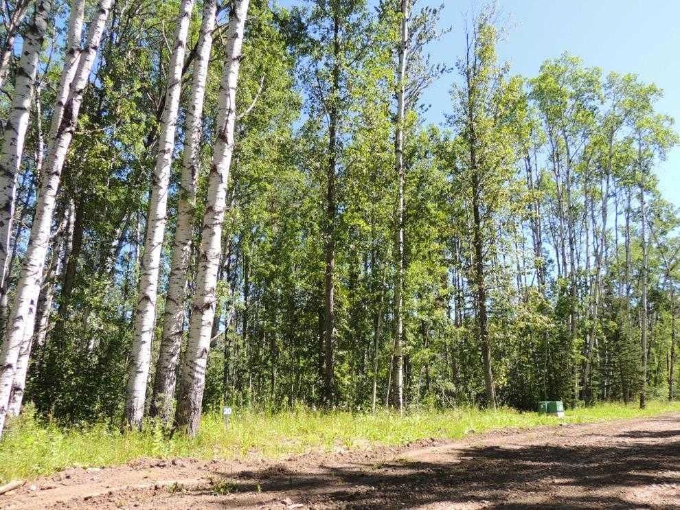 Lot #20 Wapiti River SW-21-69-10-W6   - Photo 1