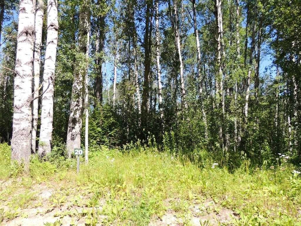 Lot #20 Wapiti River SW-21-69-10-W6   - Photo 3