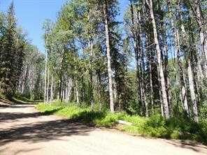 Lot #20 Wapiti River SW-21-69-10-W6   - Photo 4