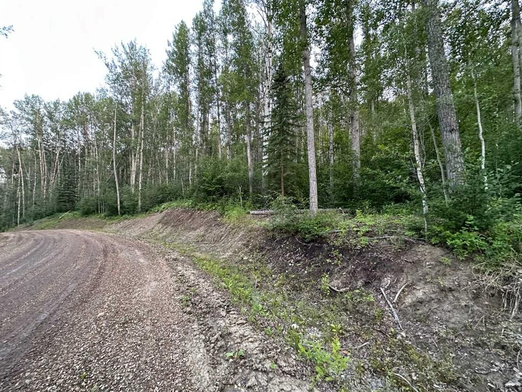 #14 Wapiti River   - Photo 14