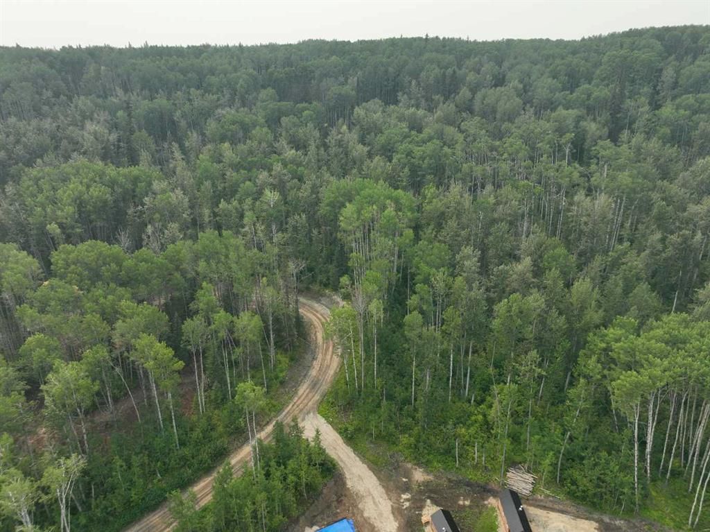 #14 Wapiti River   - Photo 5