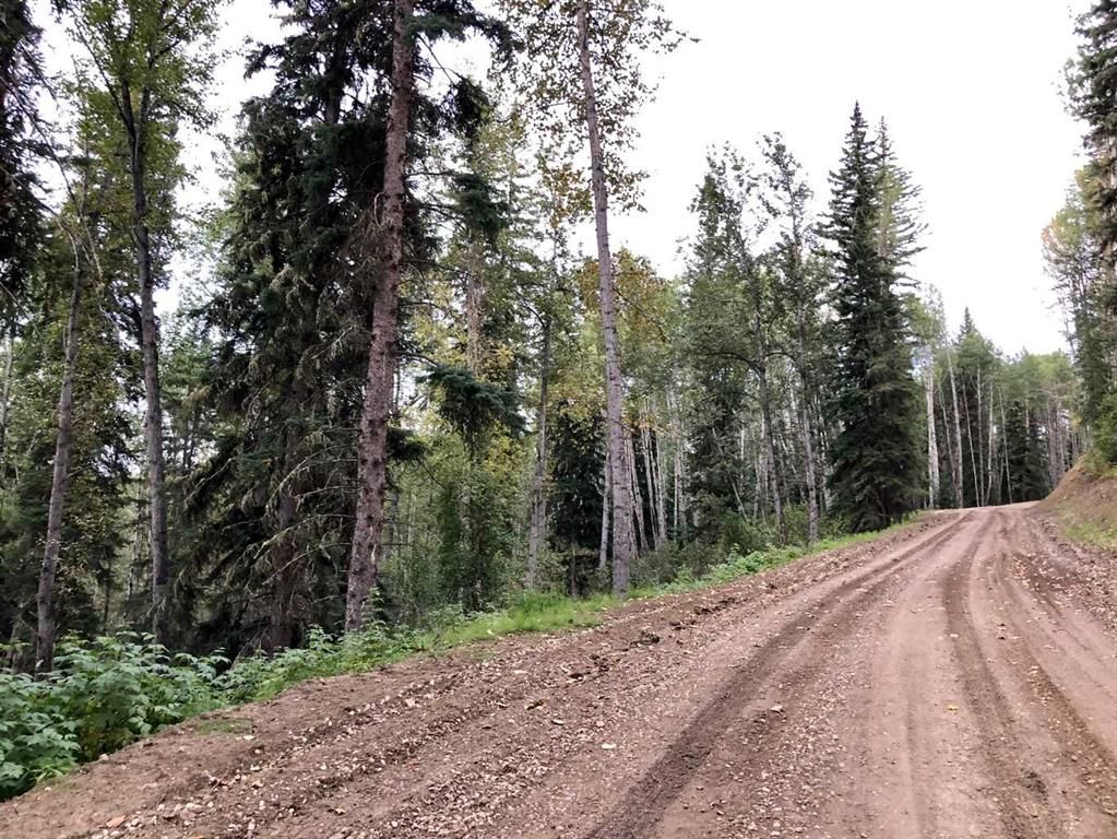 #14 Wapiti River   - Photo 6