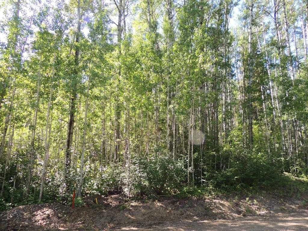 Lot #11 Wapiti River SW-21-69-10-W6   - Photo 2