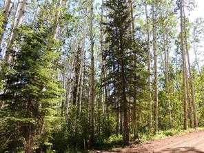 Lot #10 Wapiti River SW-21-69-10-W6   - Photo 1