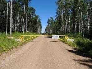 Lot #10 Wapiti River SW-21-69-10-W6   - Photo 15