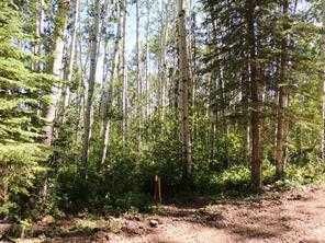 Lot #10 Wapiti River SW-21-69-10-W6   - Photo 3