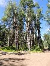 Lot #7 Wapiti River SW-21-69-10-W6   - Photo 1
