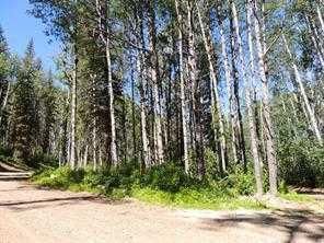 Lot #7 Wapiti River SW-21-69-10-W6   - Photo 3