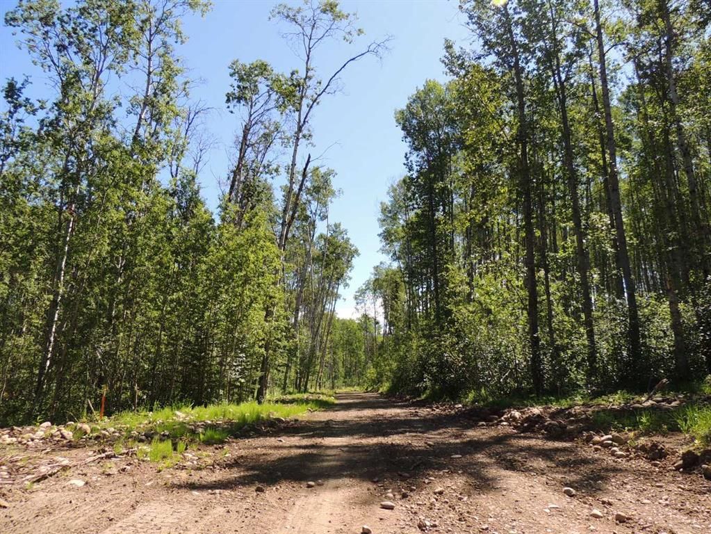 Lot 27, Wapiti River SW-21-69-10-W6   - Photo 3