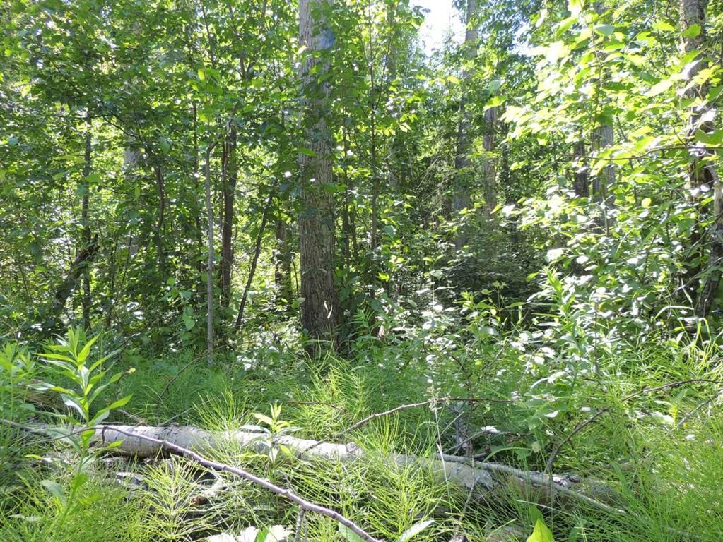 Lot 25, Wapiti River SW-21-69-10-W6   - Photo 9