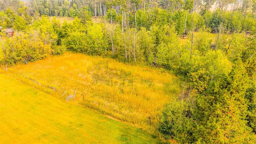 63050 770 Township  - Photo 12