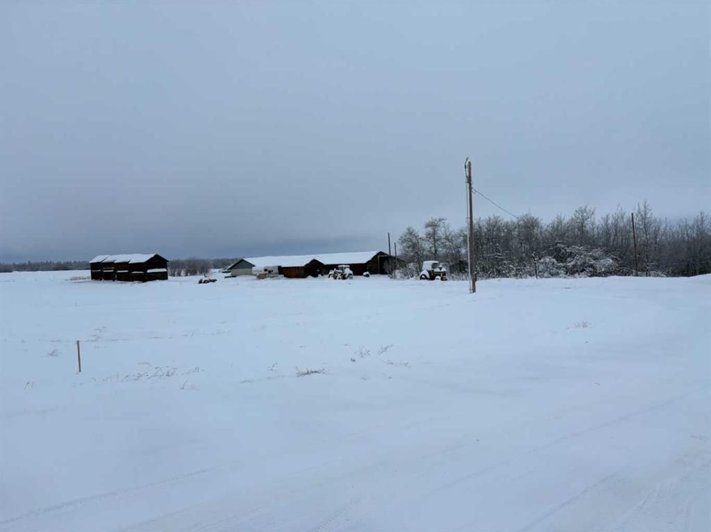 64050 HWY 49   - Photo 4