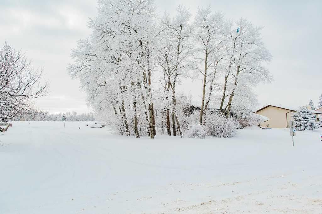 5102 43 Avenue  - Photo 4