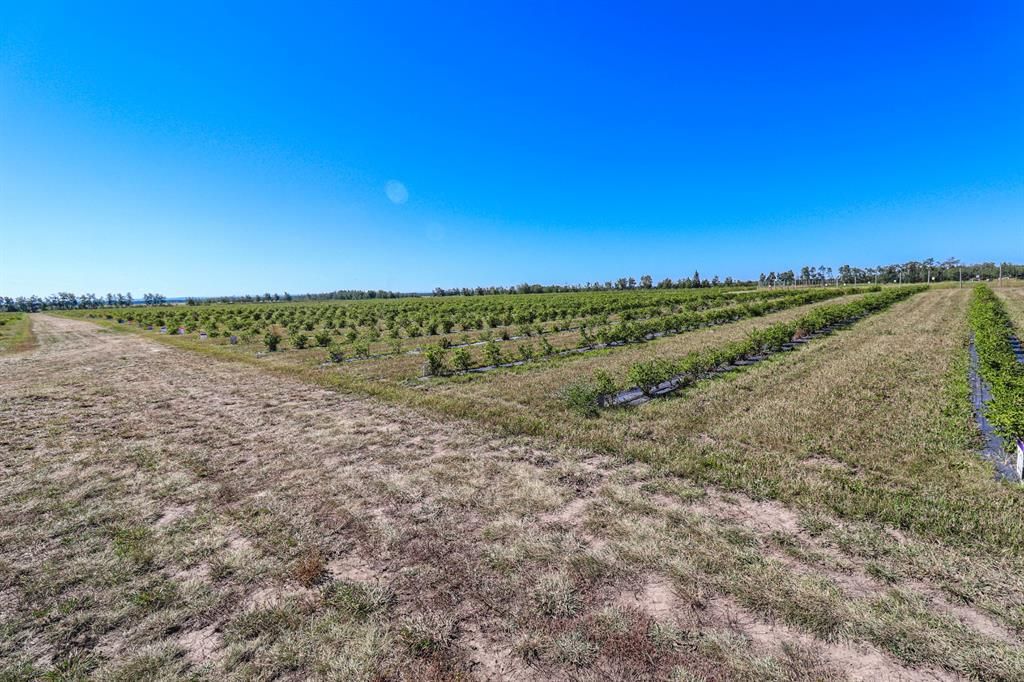 705068 RGE RD 82   - Photo 30