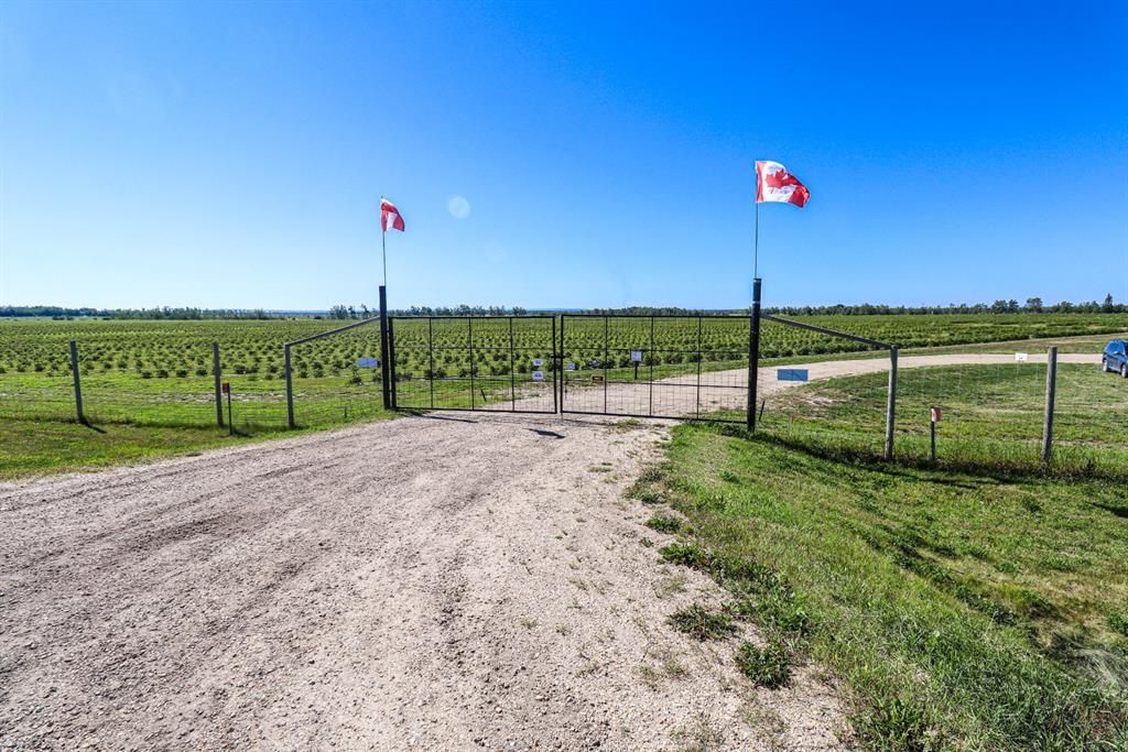 705068 RGE RD 82   - Photo 8