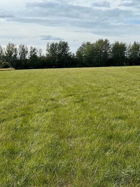 Portion of NE 2 74 9 W6 &amp; NW 2 74 9 W6   - Photo 13