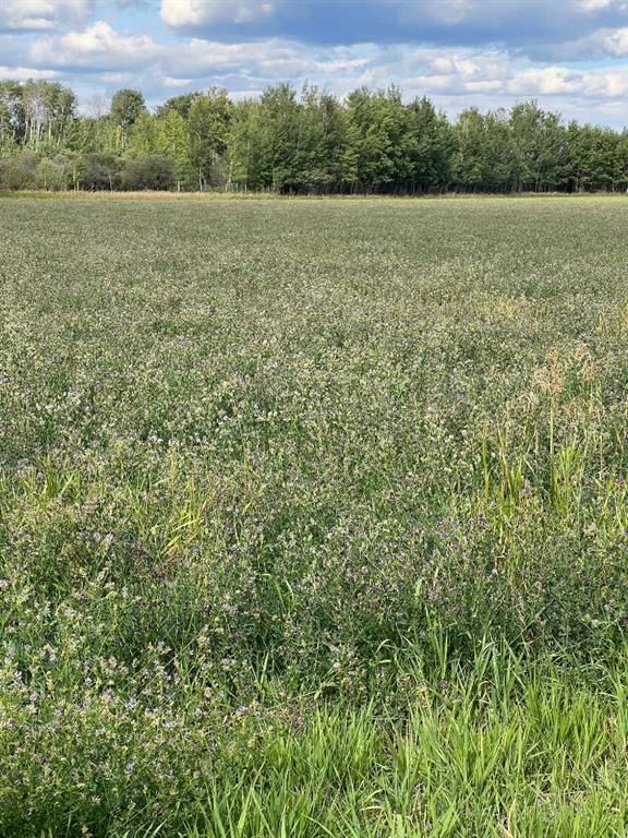 Portion of NE 2 74 9 W6 &amp; NW 2 74 9 W6   - Photo 16