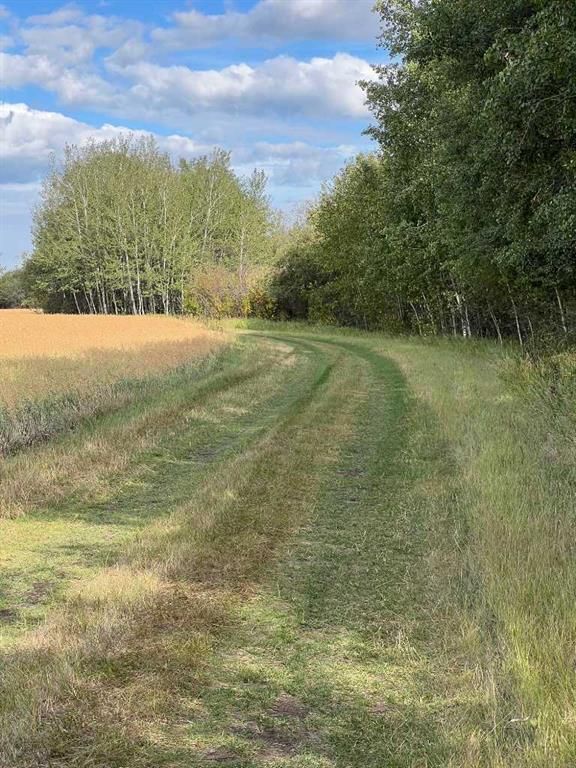 Portion of NE 2 74 9 W6 &amp; NW 2 74 9 W6   - Photo 18