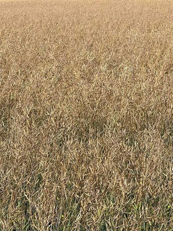 Portion of NE 2 74 9 W6 &amp; NW 2 74 9 W6   - Photo 21