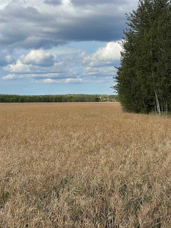 Portion of NE 2 74 9 W6 &amp; NW 2 74 9 W6   - Photo 23