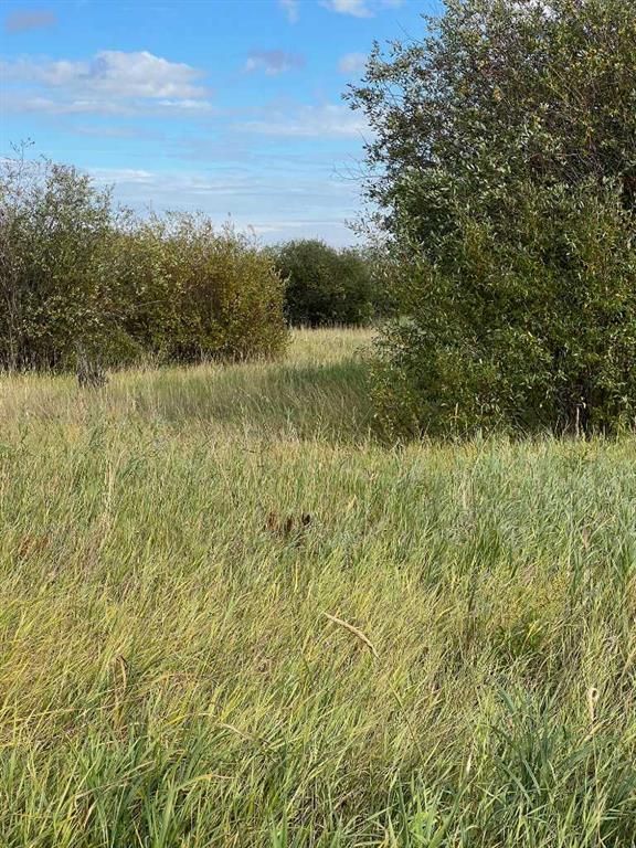 Portion of NE 2 74 9 W6 &amp; NW 2 74 9 W6   - Photo 24