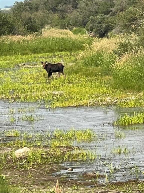 Portion of NE 2 74 9 W6 &amp; NW 2 74 9 W6   - Photo 27