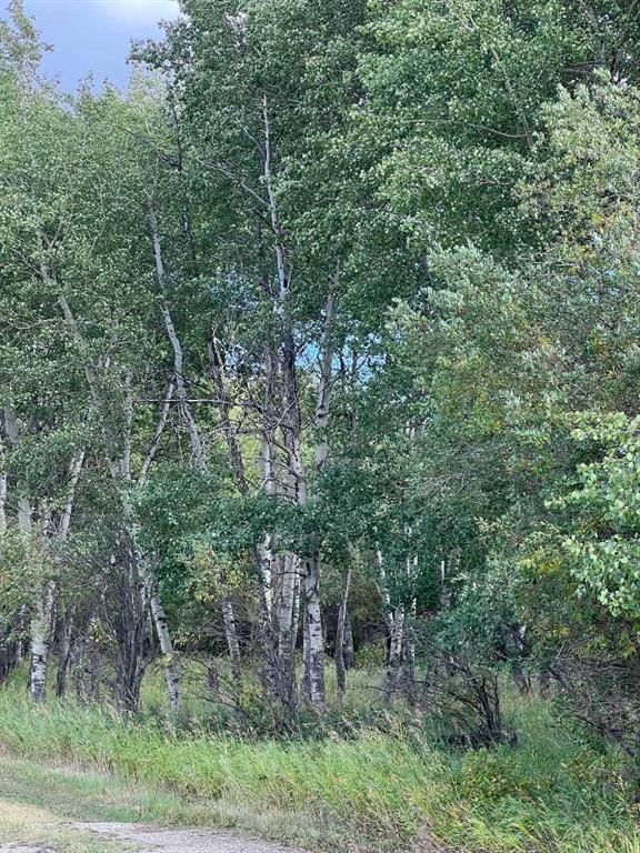 Portion of NE 2 74 9 W6 &amp; NW 2 74 9 W6   - Photo 30