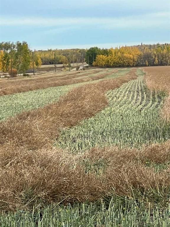 Portion of NE 2 74 9 W6 &amp; NW 2 74 9 W6   - Photo 33